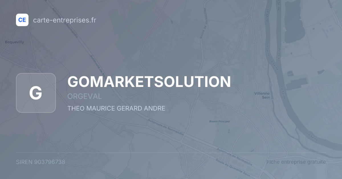 GOMARKETSOLUTION — 903796738 — fiche entreprise