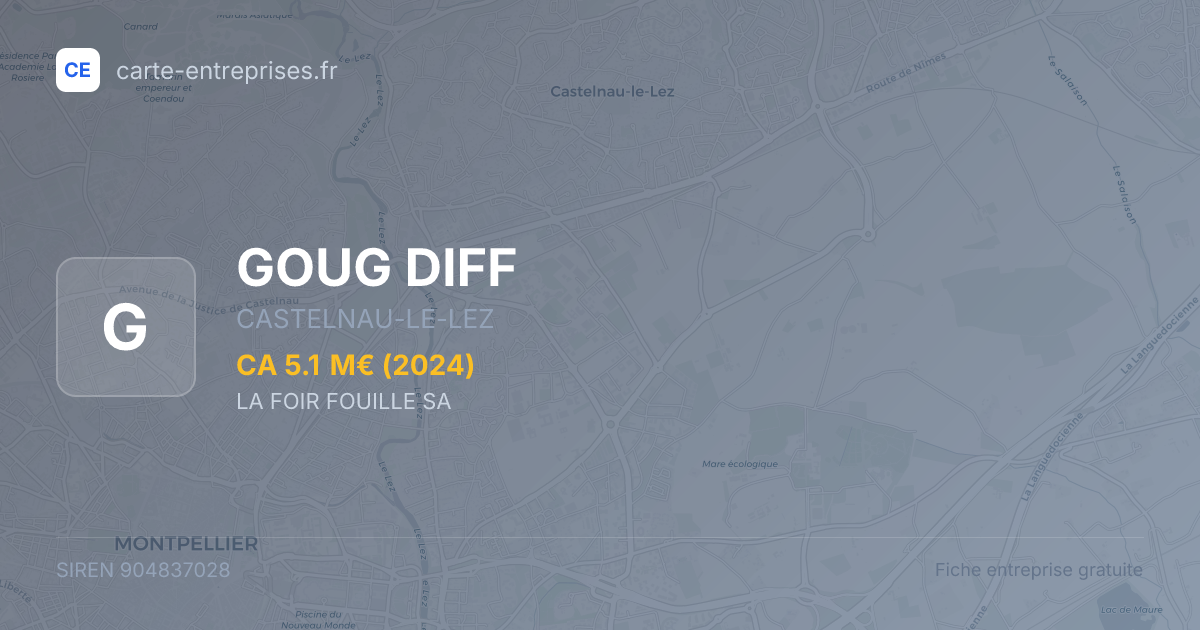 GOUG DIFF — 904837028 — fiche entreprise
