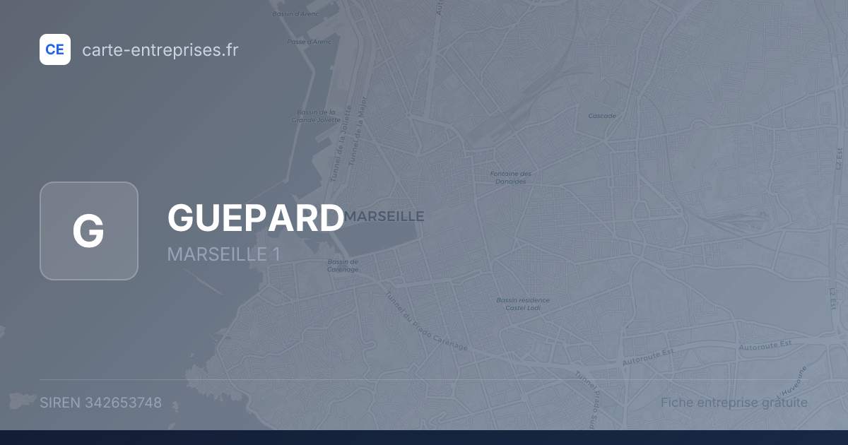 GUEPARD — 342653748 — fiche entreprise