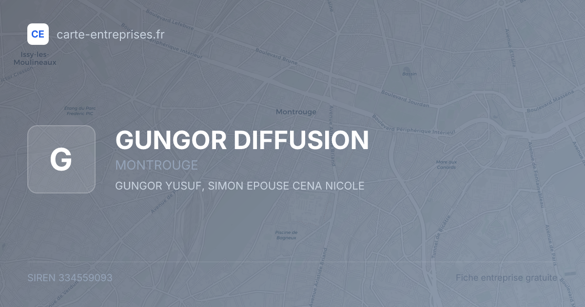 GUNGOR DIFFUSION — 334559093 — fiche entreprise