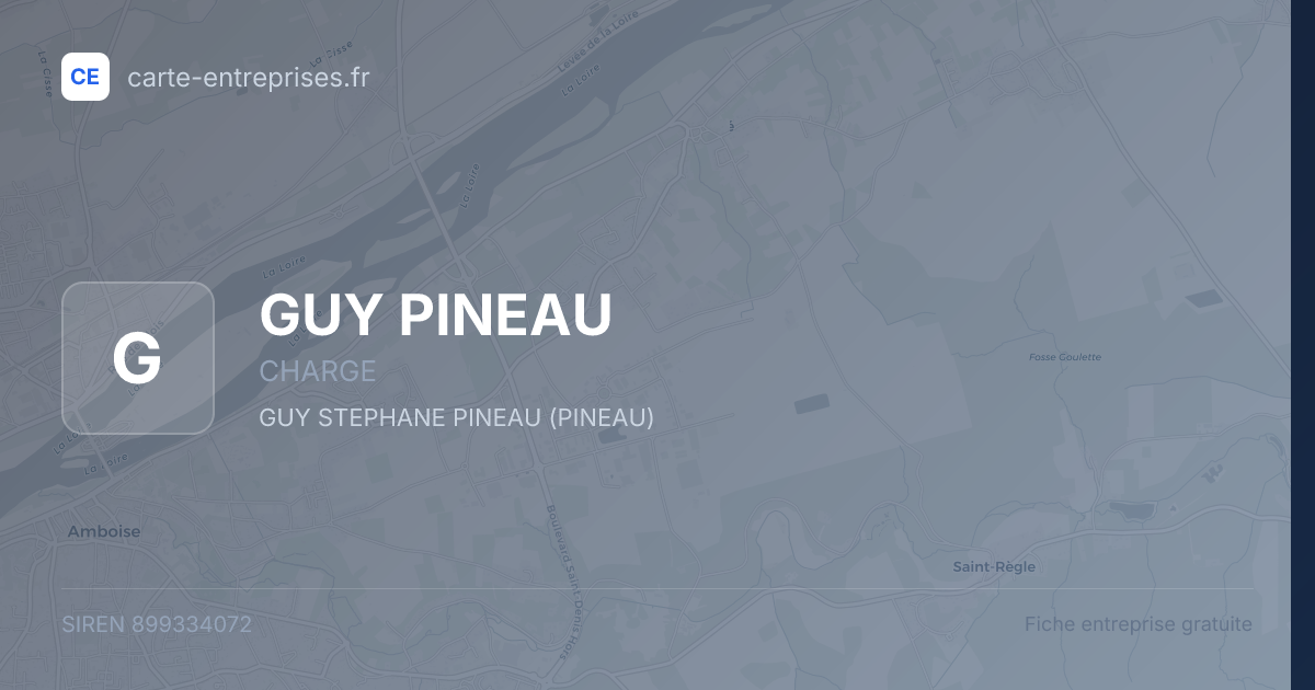 GUY PINEAU — 899334072 — fiche entreprise