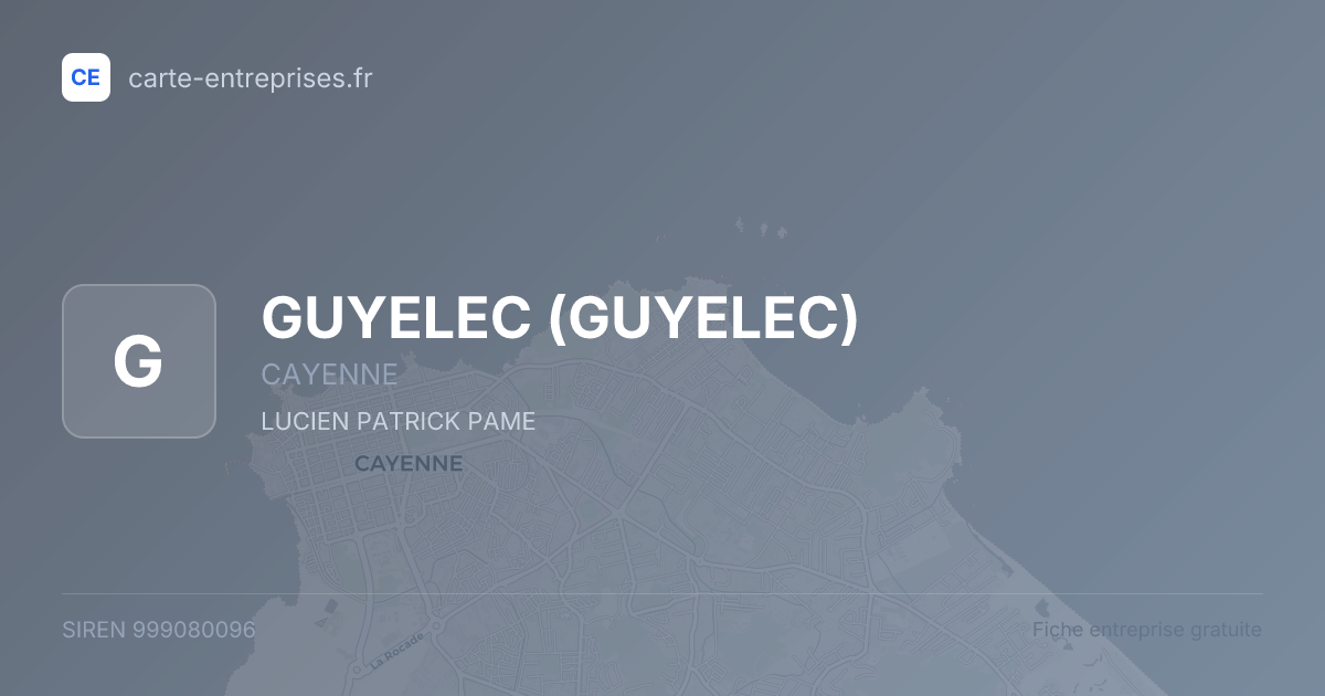 GUYELEC — 999080096 — fiche entreprise