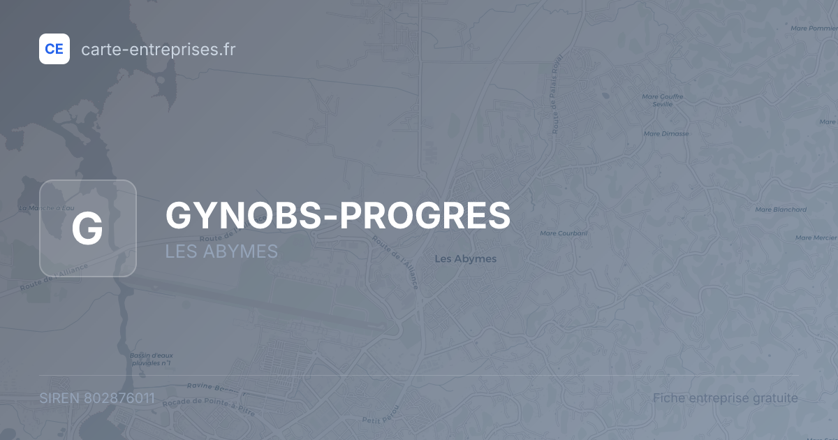 GYNOBS-PROGRES — 802876011 — fiche entreprise