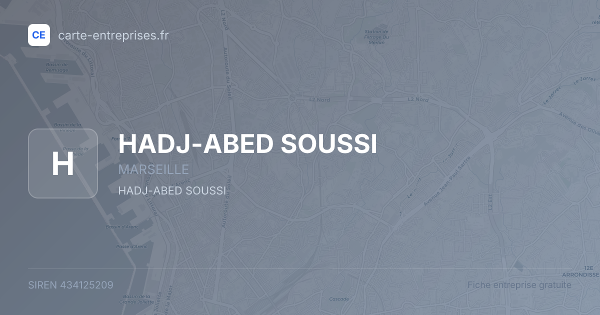 HADJ-ABED SOUSSI — 434125209 — fiche entreprise
