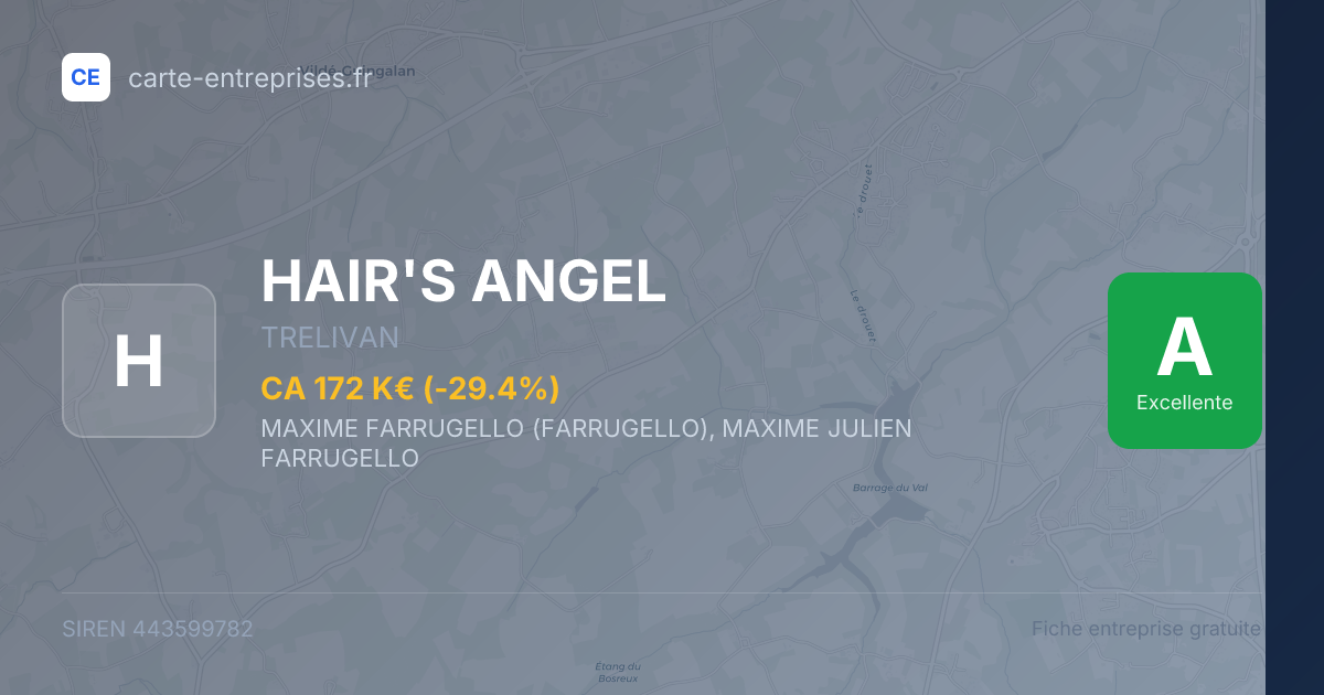 HAIR'S ANGEL — 443599782 — fiche entreprise