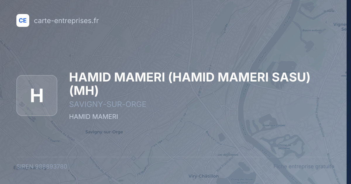 HAMID MAMERI (HAMID MAMERI SASU) (MH) — 988893780 — fiche entreprise