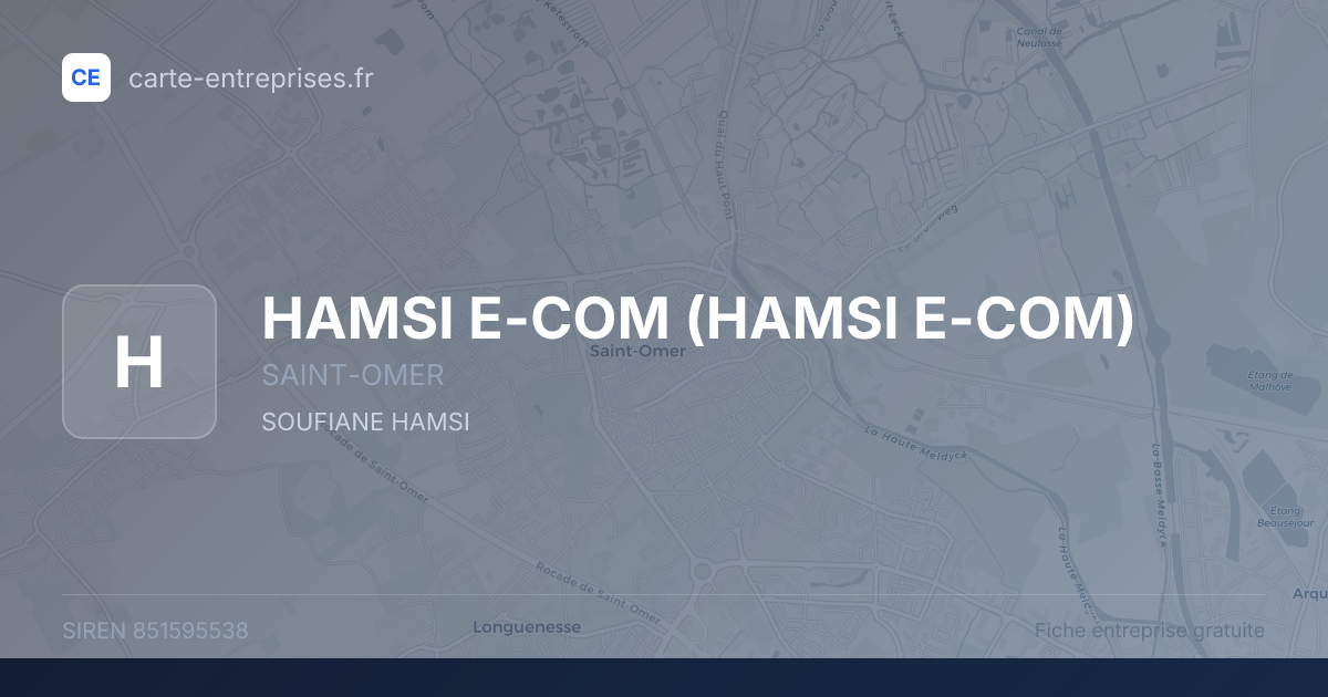 HAMSI E-COM — 851595538 — fiche entreprise