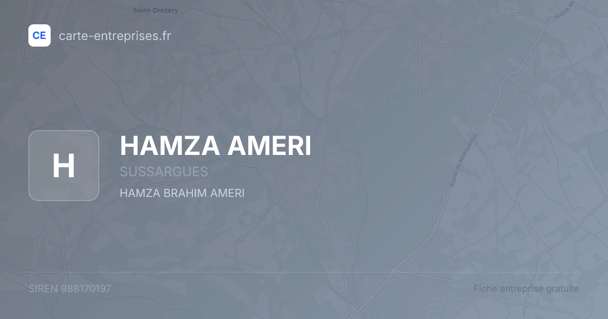 HAMZA AMERI — 988170197 — fiche entreprise