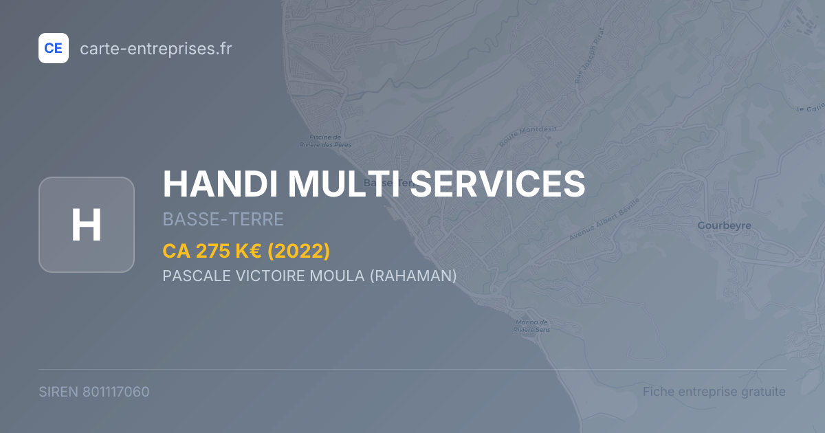 HANDI MULTI SERVICES — 801117060 — fiche entreprise