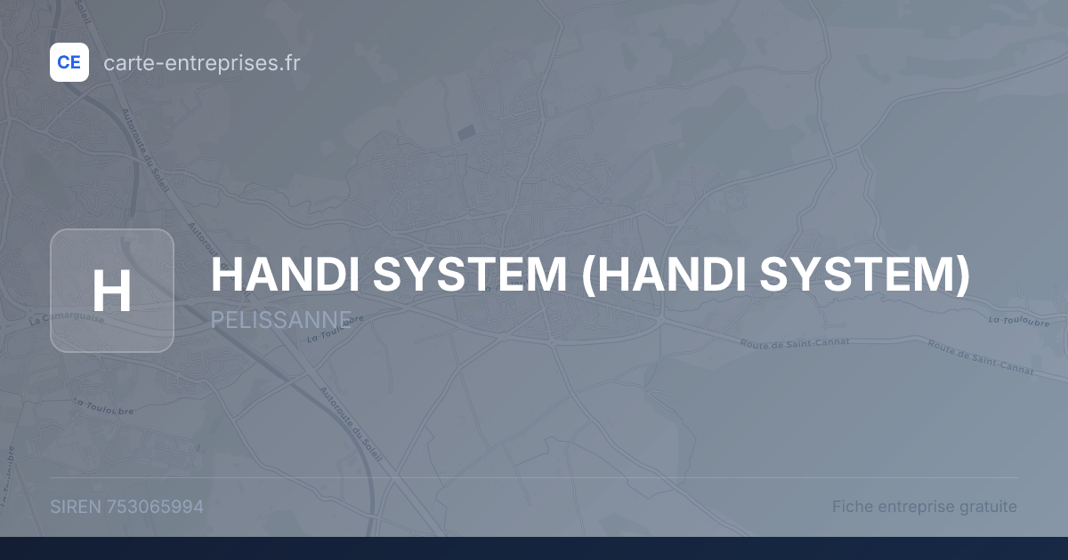 HANDI SYSTEM — 753065994 — fiche entreprise
