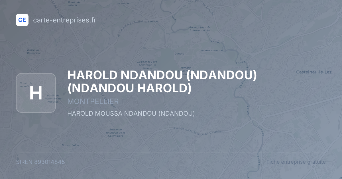 HAROLD NDANDOU (NDANDOU) (NDANDOU HAROLD) — 893014845 — fiche entreprise