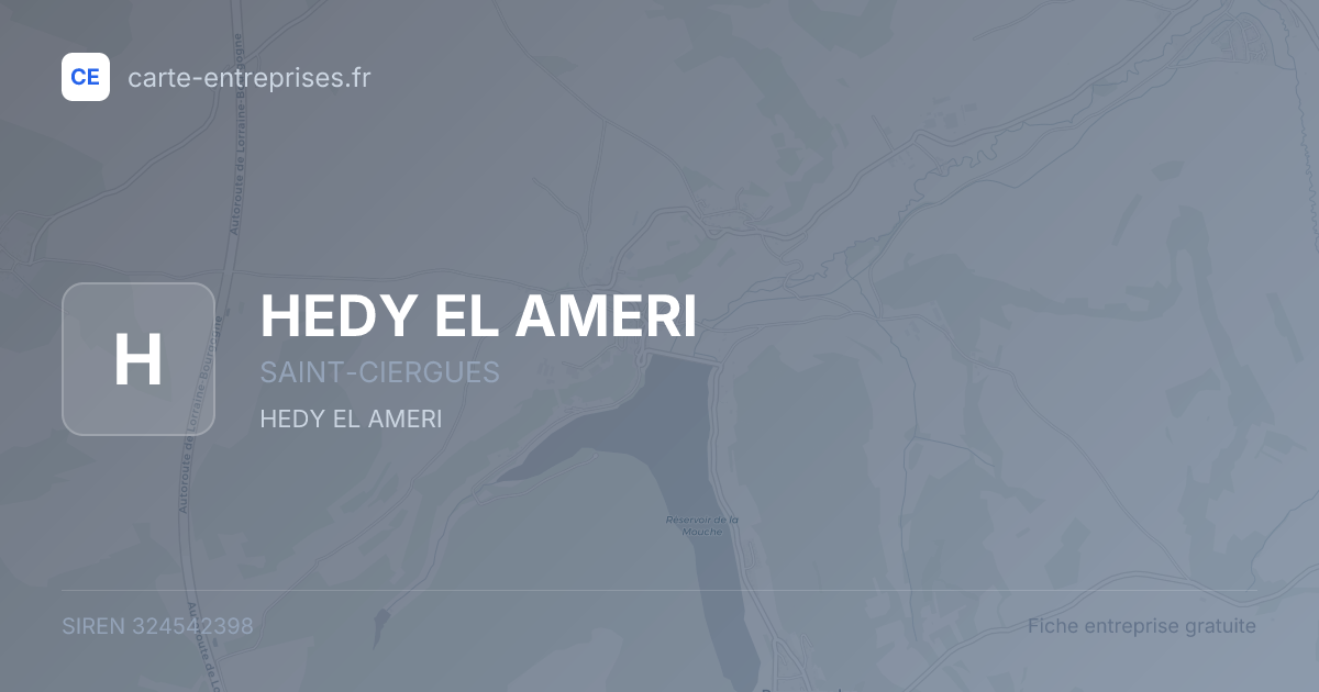 HEDY EL AMERI — 324542398 — fiche entreprise