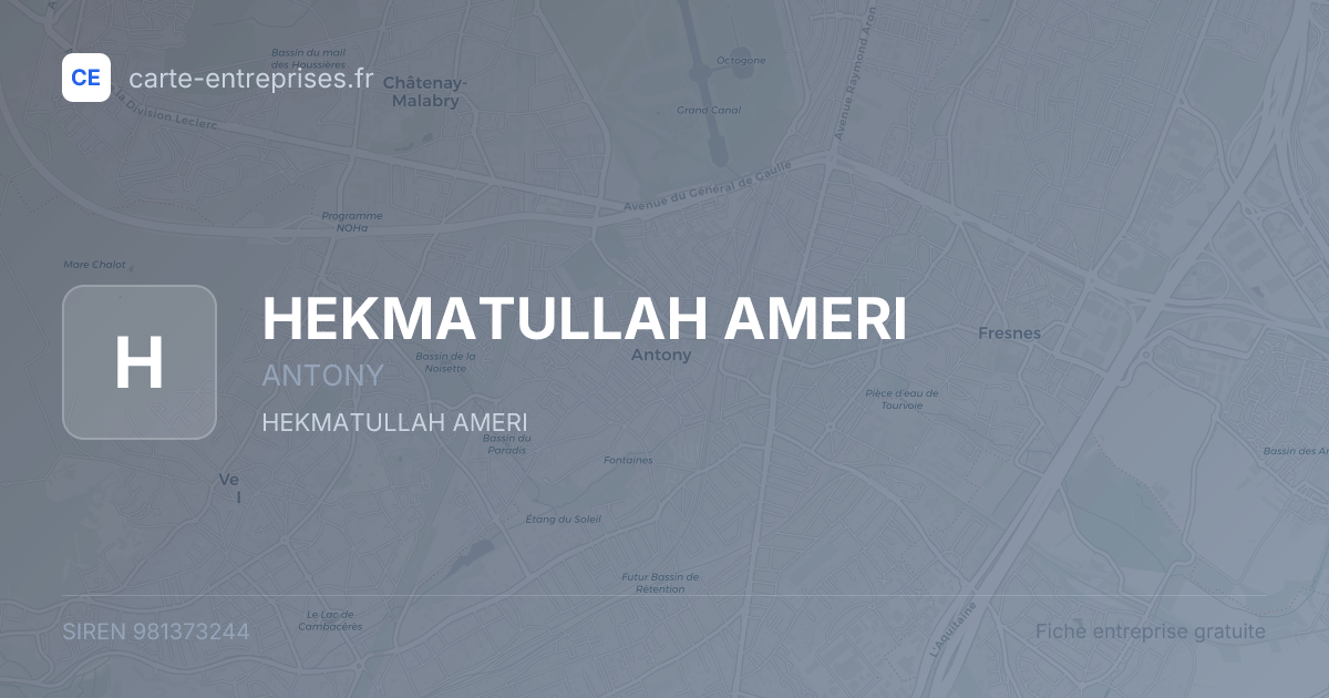 HEKMATULLAH AMERI — 981373244 — fiche entreprise