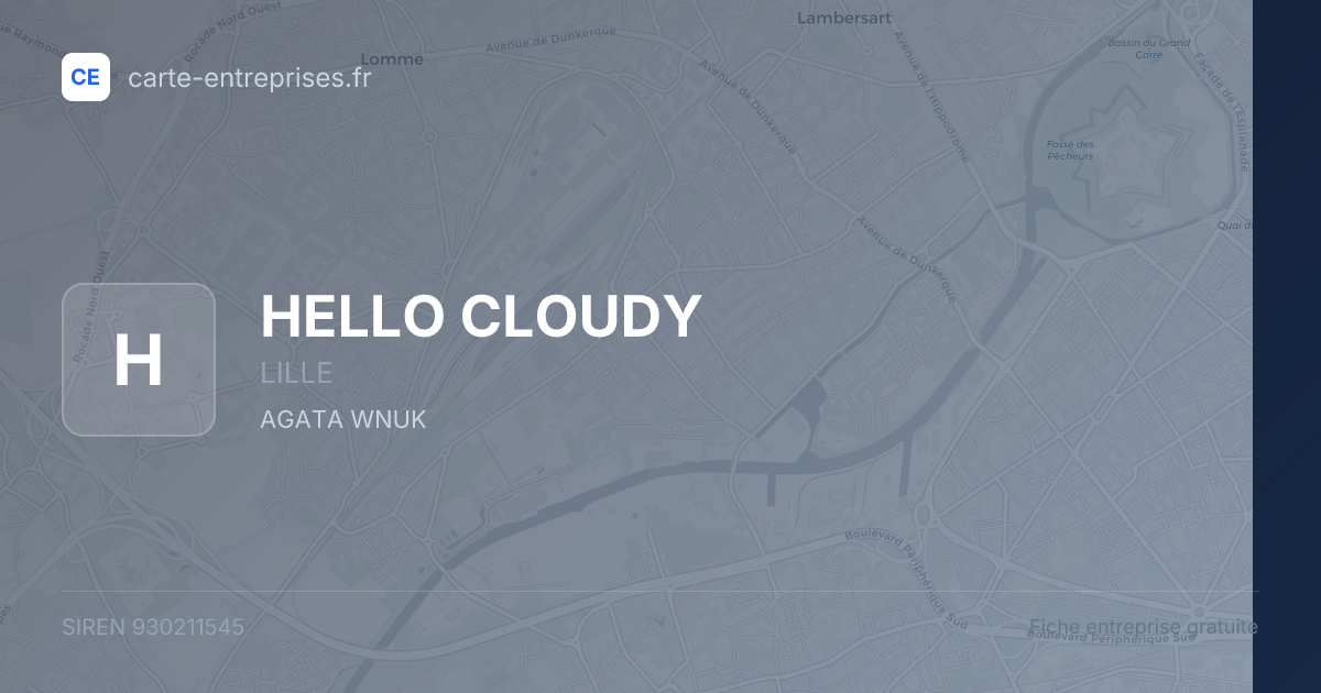 HELLO CLOUDY — 930211545 — fiche entreprise