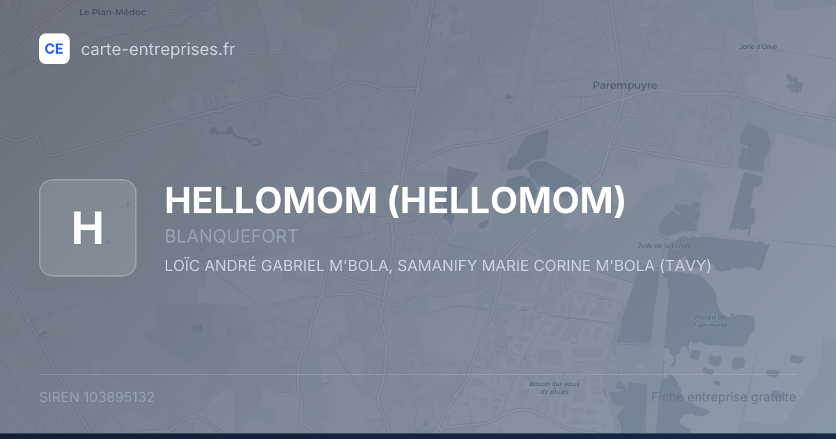 HELLOMOM — 103895132 — fiche entreprise