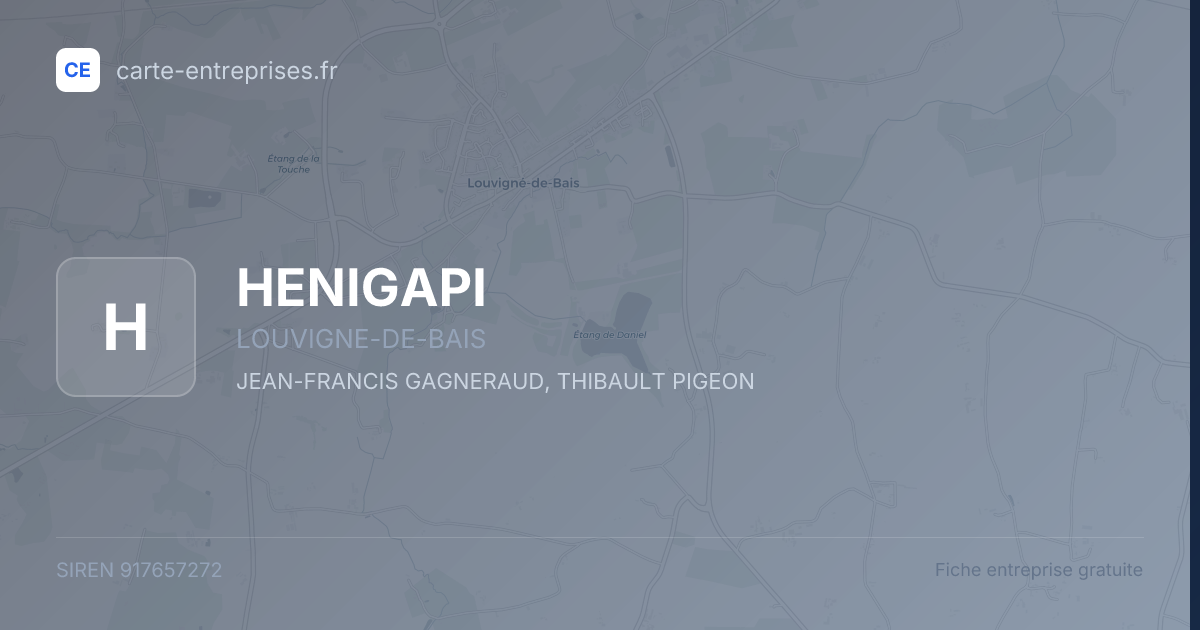 HENIGAPI — 917657272 — fiche entreprise