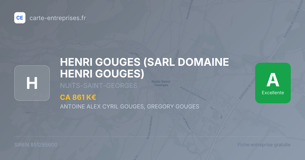 HENRI GOUGES (SARL DOMAINE HENRI GOUGES) — 851295600 — fiche entreprise