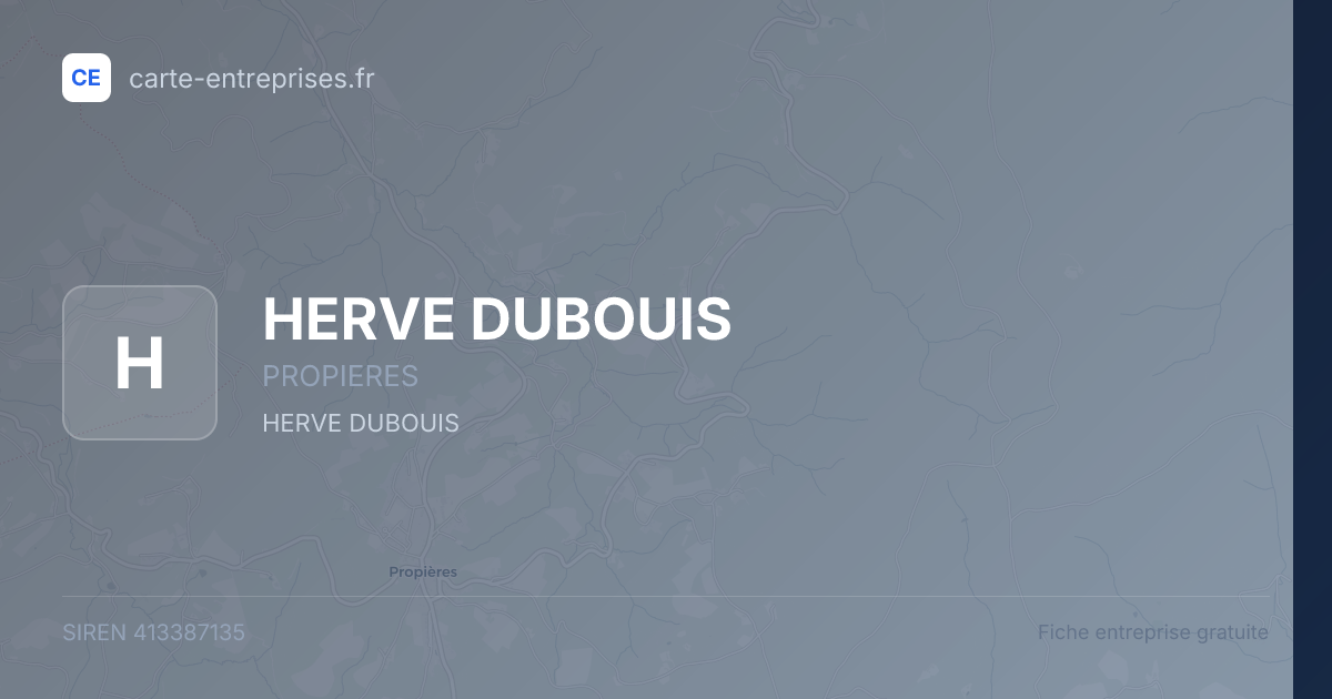 HERVE DUBOUIS — 413387135 — fiche entreprise