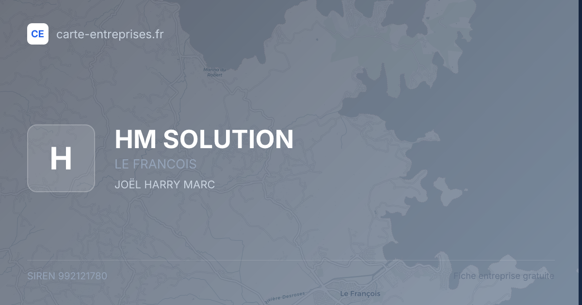 HM SOLUTION — 992121780 — fiche entreprise