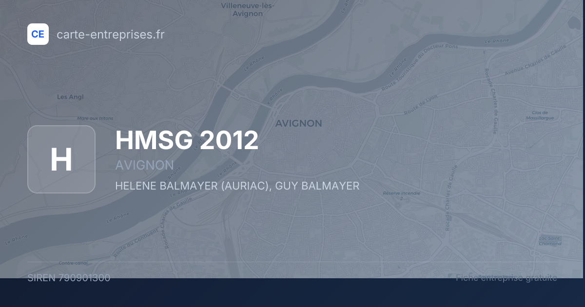 HMSG 2012 — 790901300 — fiche entreprise
