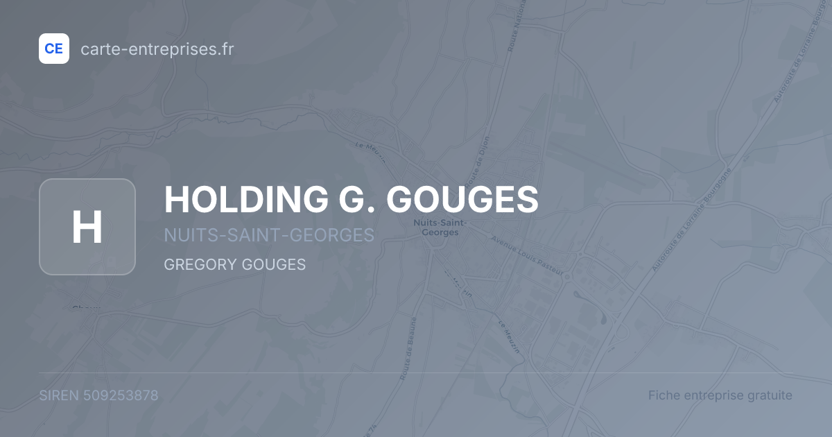 HOLDING G. GOUGES — 509253878 — fiche entreprise