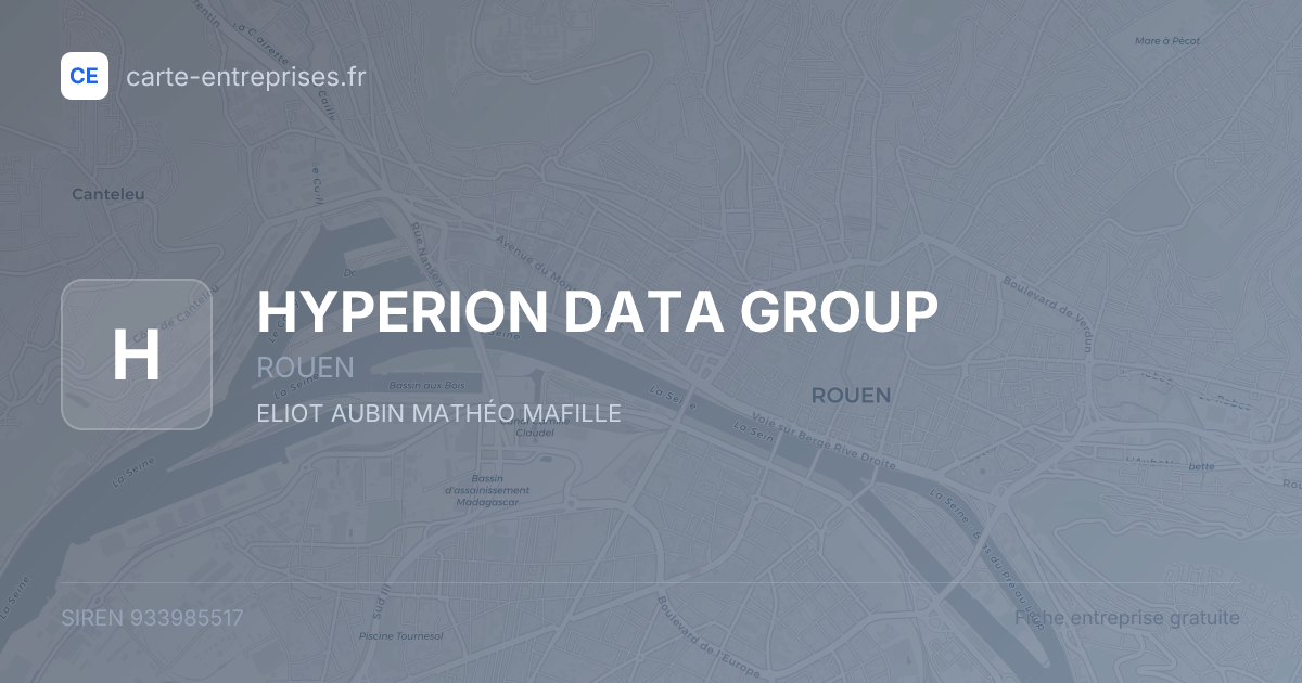 HYPERION DATA GROUP — 933985517 — fiche entreprise