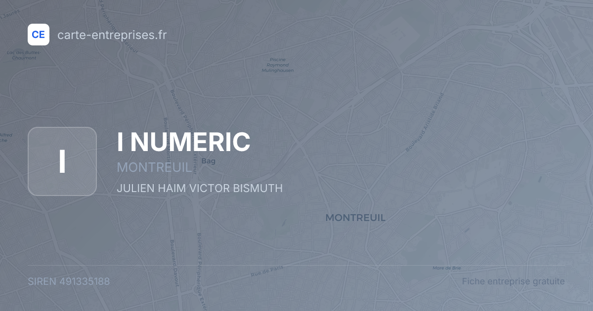I NUMERIC — 491335188 — fiche entreprise