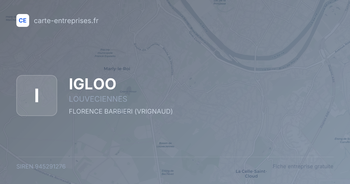 IGLOO — 945291276 — fiche entreprise