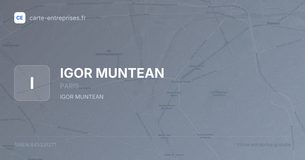 IGOR MUNTEAN — 845331271 — fiche entreprise
