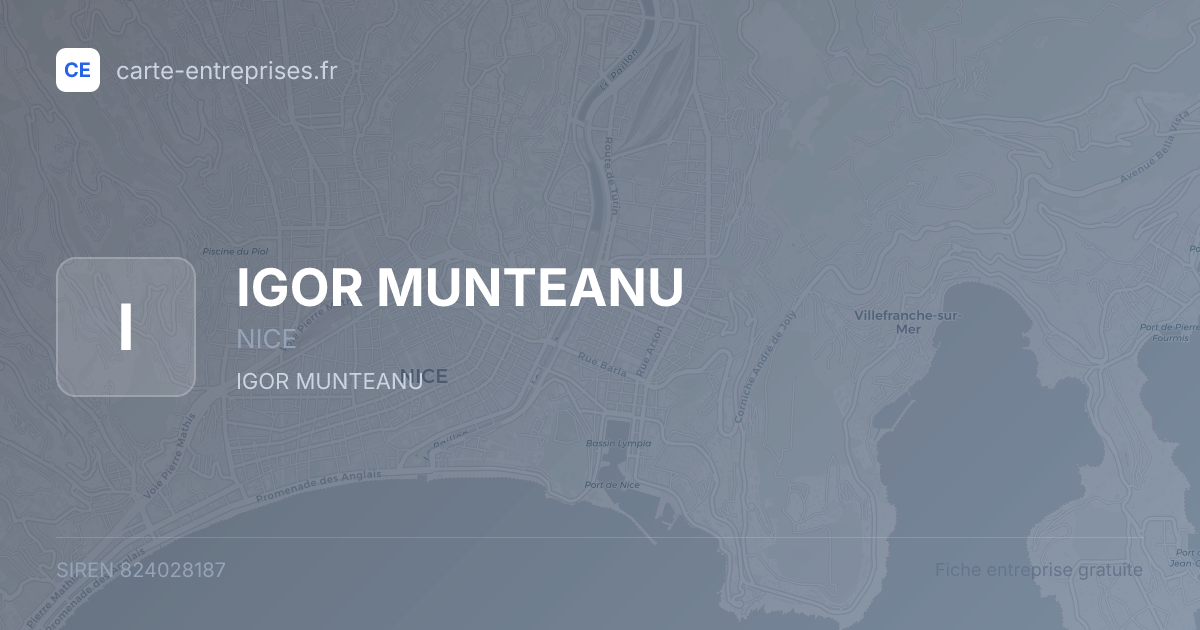 IGOR MUNTEANU — 824028187 — fiche entreprise