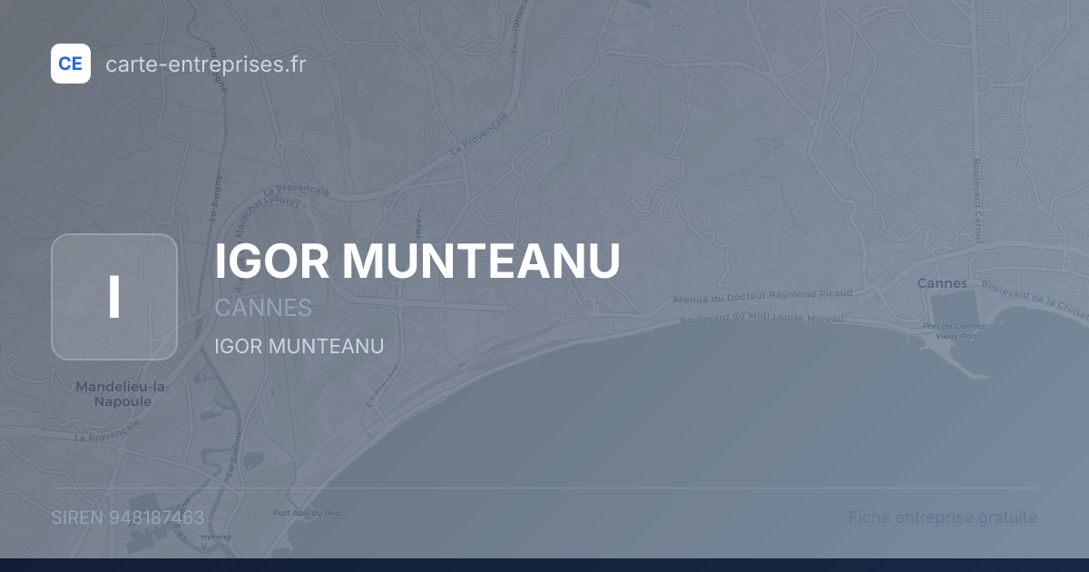 IGOR MUNTEANU — 948187463 — fiche entreprise
