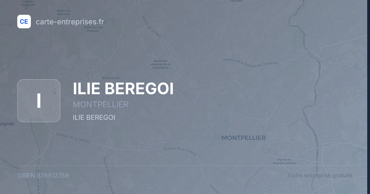 ILIE BEREGOI — 878812759 — fiche entreprise