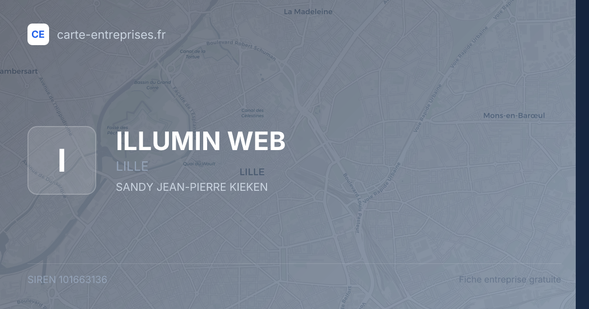 ILLUMIN WEB — 101663136 — fiche entreprise