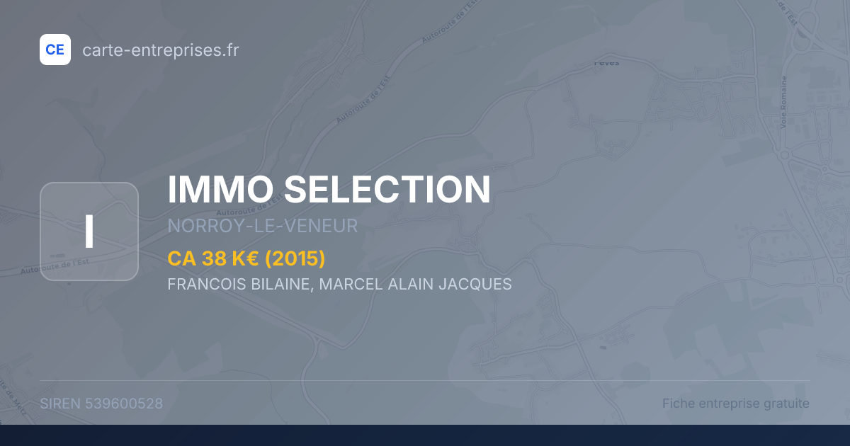IMMO SELECTION — 539600528 — fiche entreprise
