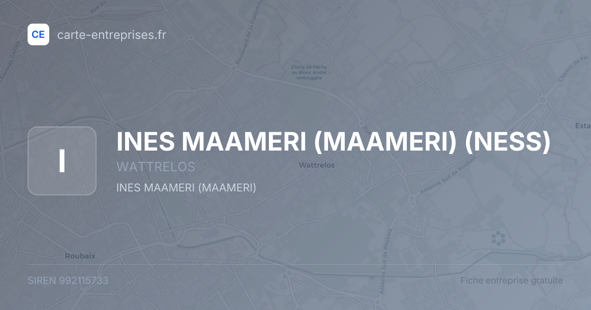 INES MAAMERI (MAAMERI) (NESS) — 992115733 — fiche entreprise