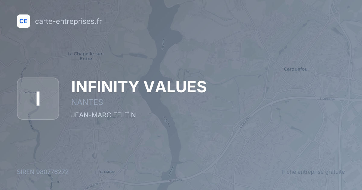 INFINITY VALUES — 980776272 — fiche entreprise