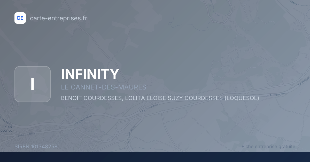 INFINITY — 101348258 — fiche entreprise
