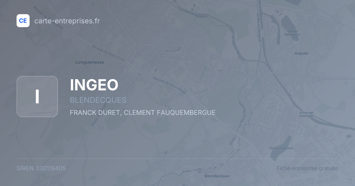 INGEO — 330119405 — fiche entreprise