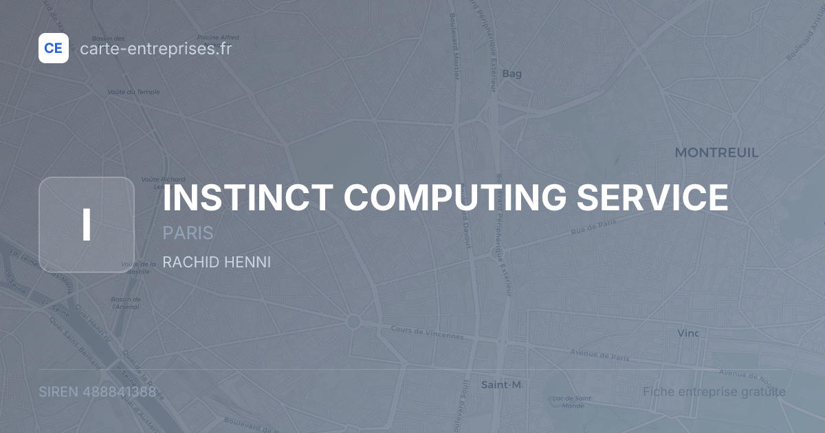 INSTINCT COMPUTING SERVICE — 488841388 — fiche entreprise