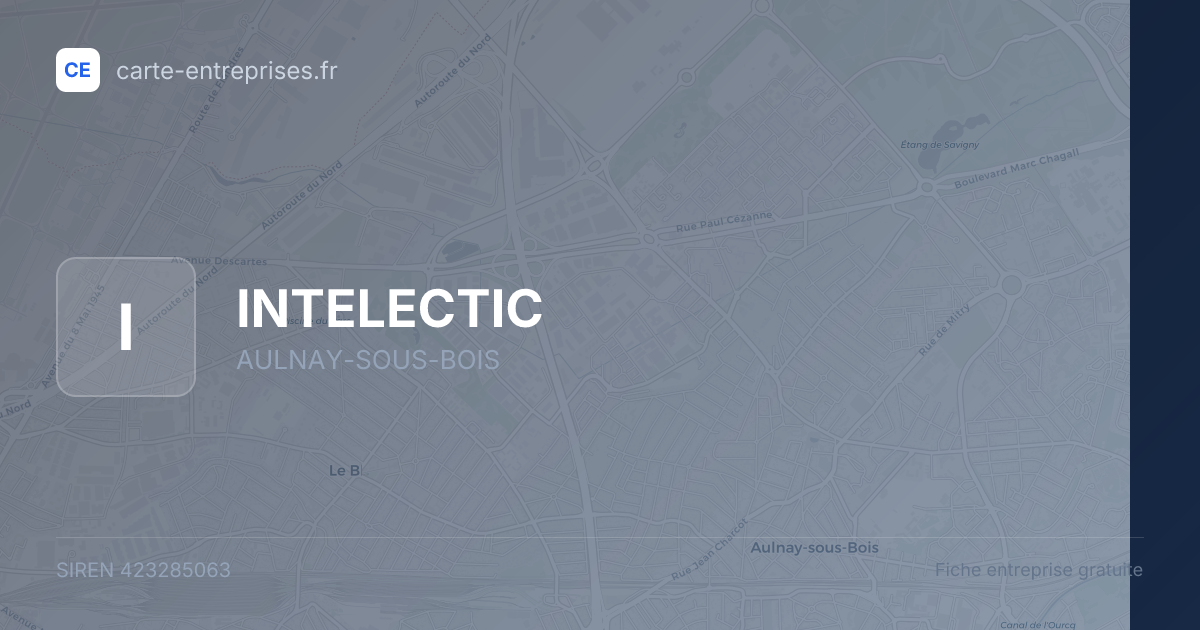 INTELECTIC — 423285063 — fiche entreprise