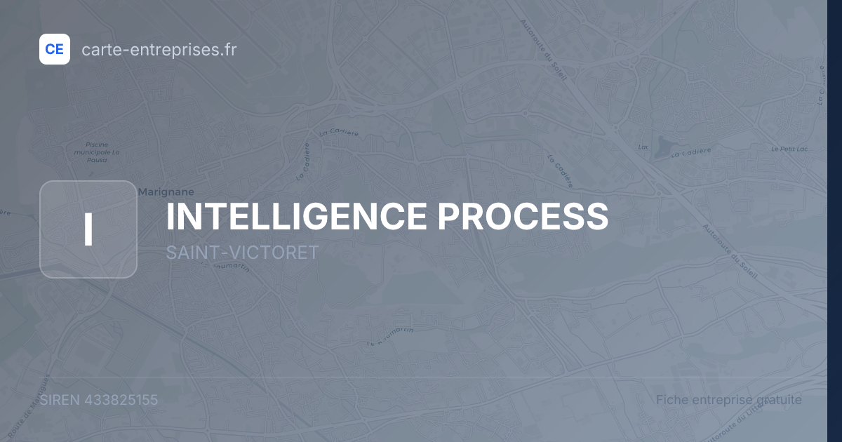 INTELLIGENCE PROCESS — 433825155 — fiche entreprise