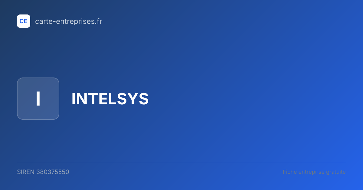 INTELSYS — 380375550 — fiche entreprise