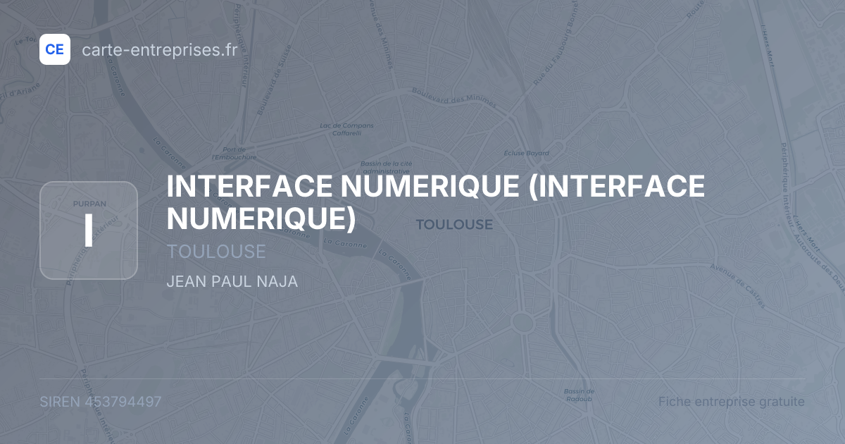 INTERFACE NUMERIQUE — 453794497 — fiche entreprise