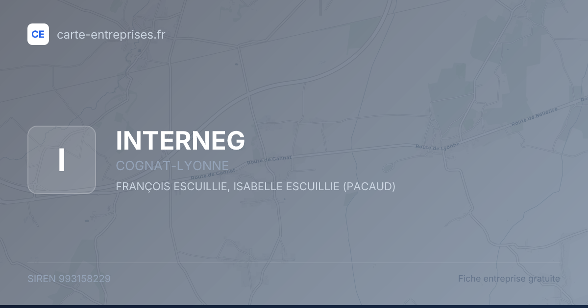 INTERNEG — 993158229 — fiche entreprise