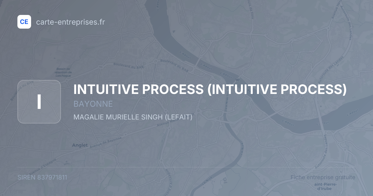 INTUITIVE PROCESS — 837971811 — fiche entreprise