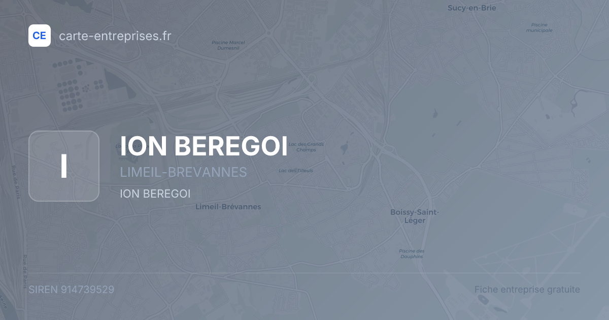ION BEREGOI — 914739529 — fiche entreprise