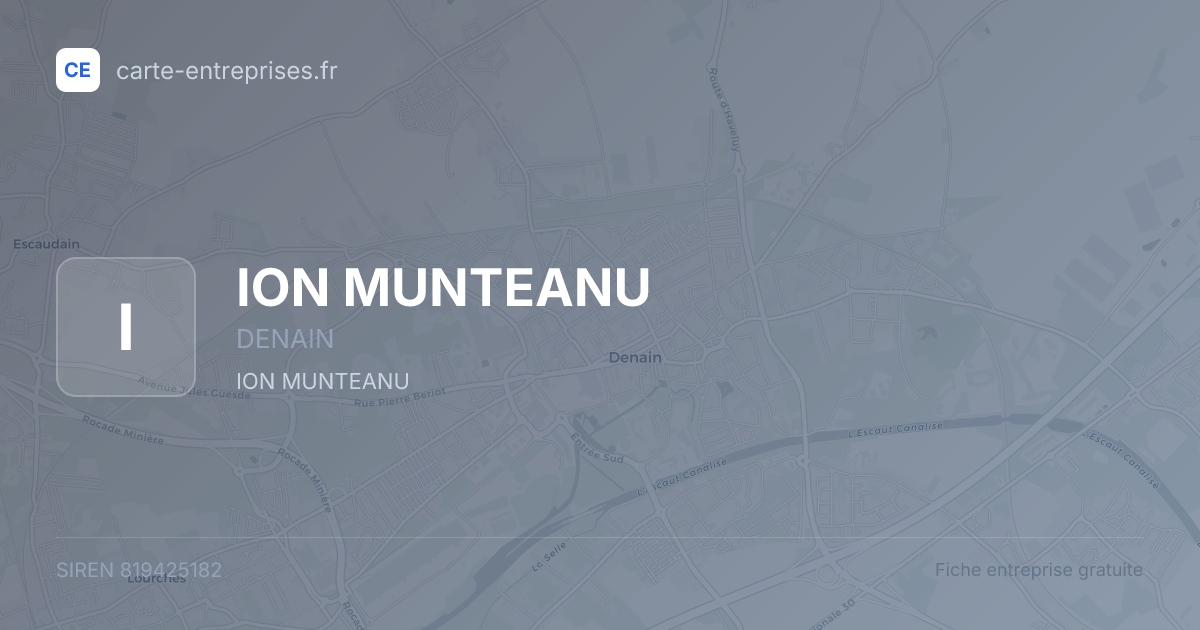 ION MUNTEANU — 819425182 — fiche entreprise