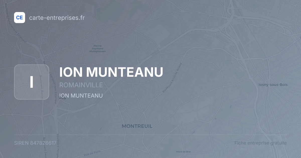 ION MUNTEANU — 847826617 — fiche entreprise