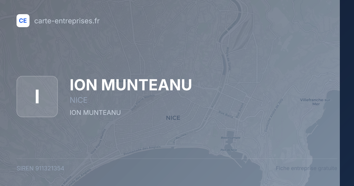 ION MUNTEANU — 911321354 — fiche entreprise