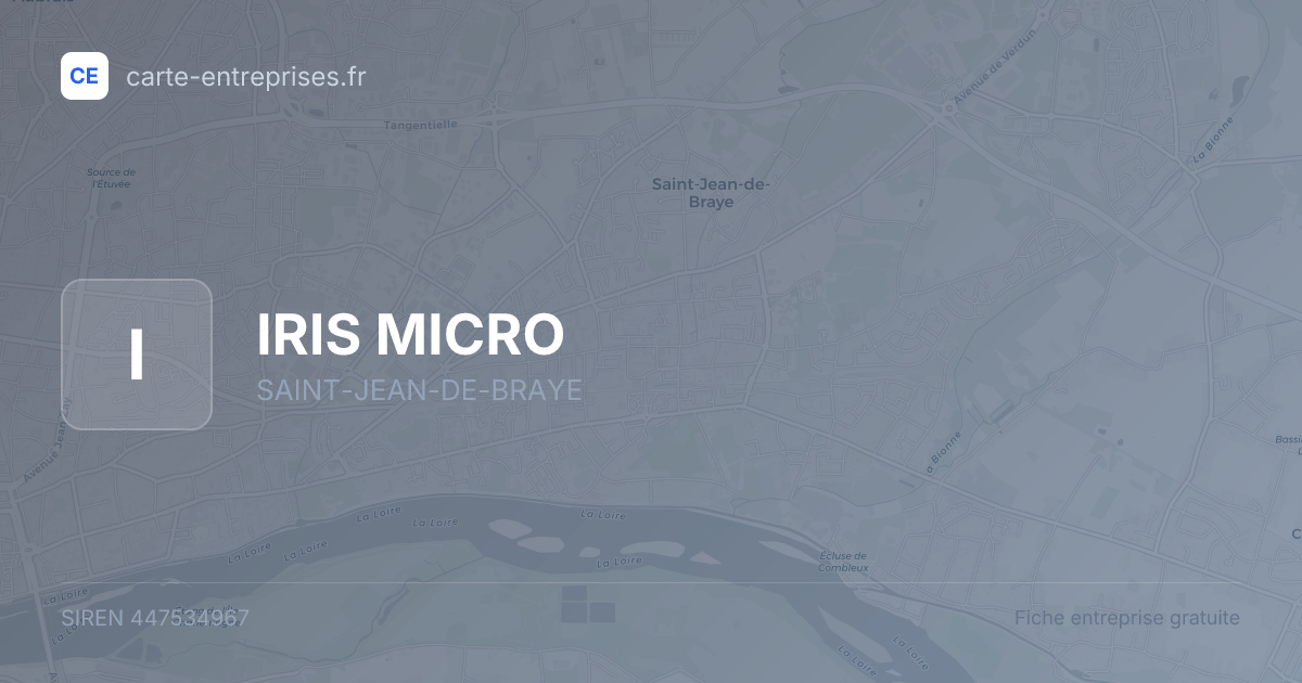 IRIS MICRO — 447534967 — fiche entreprise